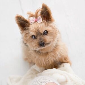 Meet your Posher, Elle